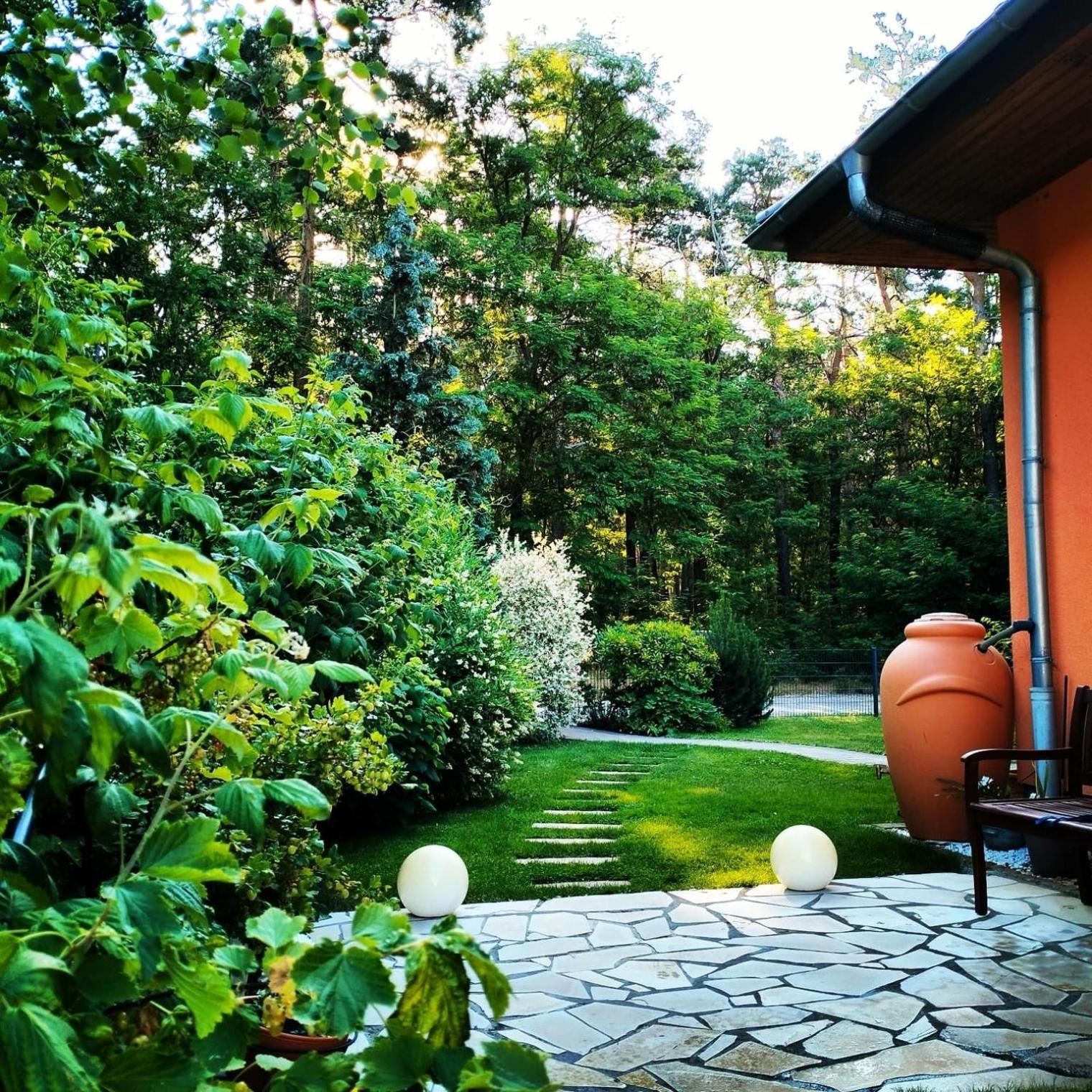Ferienwohnung Am Waldesrand - Garten, Terrasse, Grill, Luftkuehler, Massagesessel, Kinderspielecke, Spielekonsole คอตต์บุส ภายนอก รูปภาพ